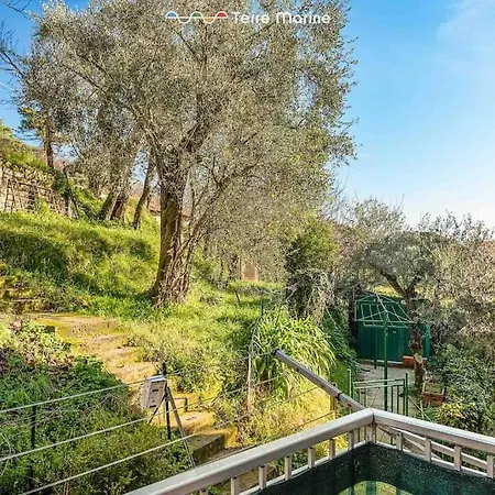 Apartman Valley House *